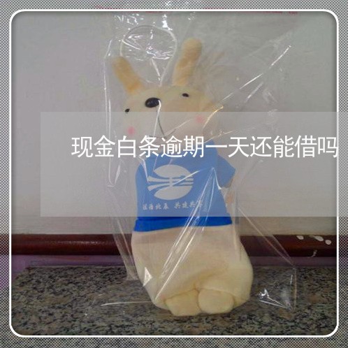 现金白条逾期一天还能借吗 现金白条逾期一天还能借吗