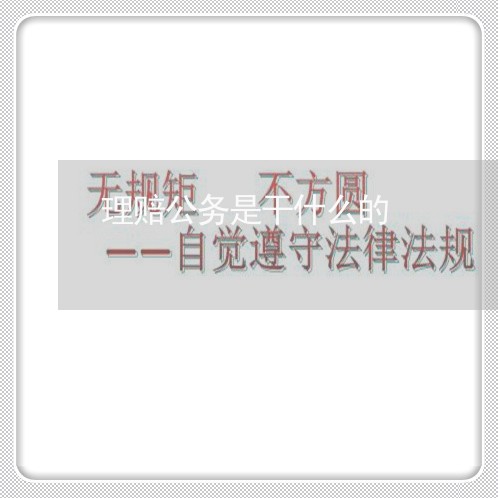 理赔公务是干什么的