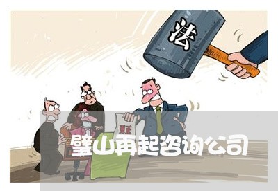 璧山再起咨询公司
