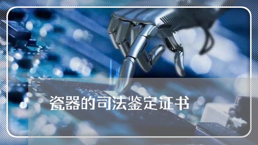 瓷器的司法鉴定证书 瓷器的司法鉴定证书