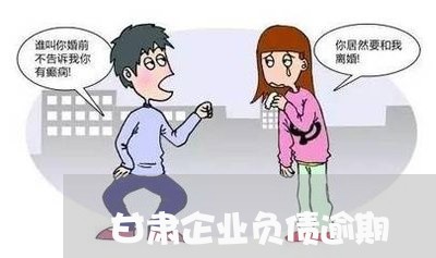 甘肃企业负债逾期 甘肃企业负债逾期