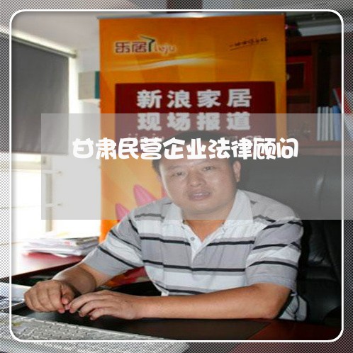 甘肃民营企业法律顾问/2023061962505