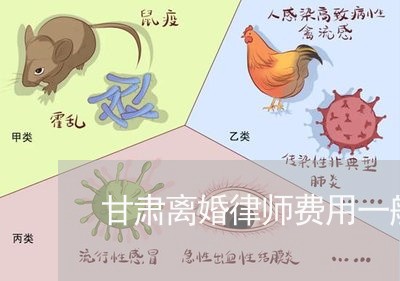 甘肃离婚律师费用一般怎么收费