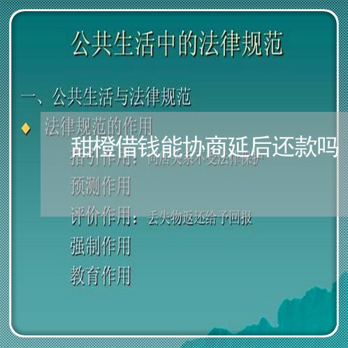 甜橙借钱能协商延后还款吗/2023071149148