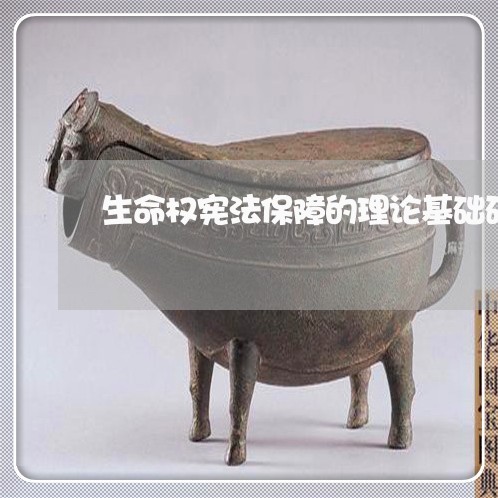 生命权宪法保障的理论基础研究 生命权宪法保障的理论基础研究
