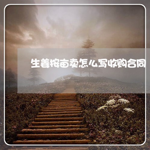 生姜按亩卖怎么写收购合同/2023042367160