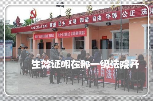 生效证明在那一级法院开 生效证明在那一级法院开