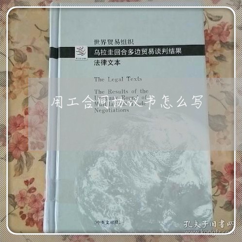 用工合同协议书怎么写/2023041263707