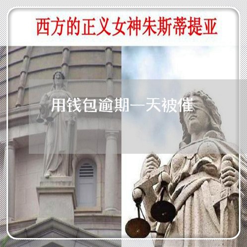 用钱包逾期一天被催
