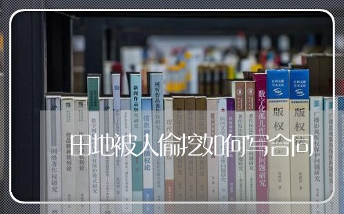 田地被人偷挖如何写合同/2023042171573