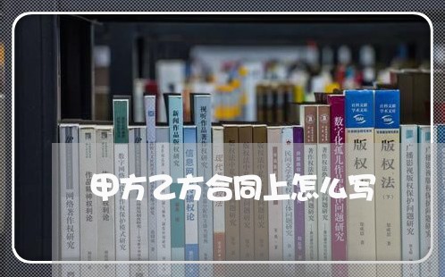 甲方乙方合同上怎么写/2023041096149
