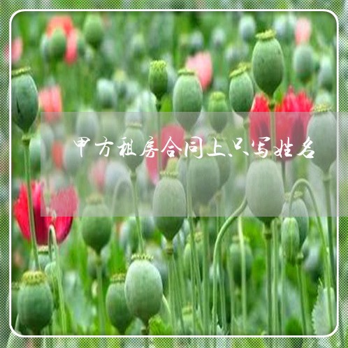 甲方租房合同上只写姓名 甲方租房合同上只写姓名
