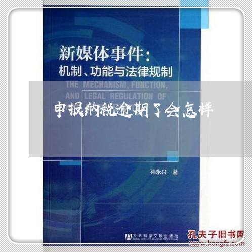 申报纳税逾期了会怎样