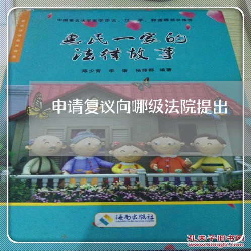 申请复议向哪级法院提出 申请复议向哪级法院提出