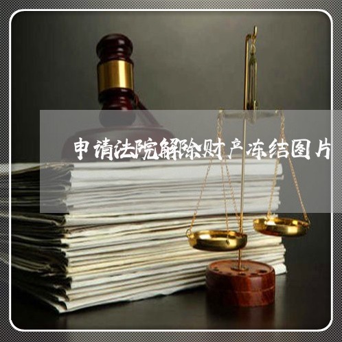 申请法院解除财产冻结图片 申请法院解除财产冻结图片