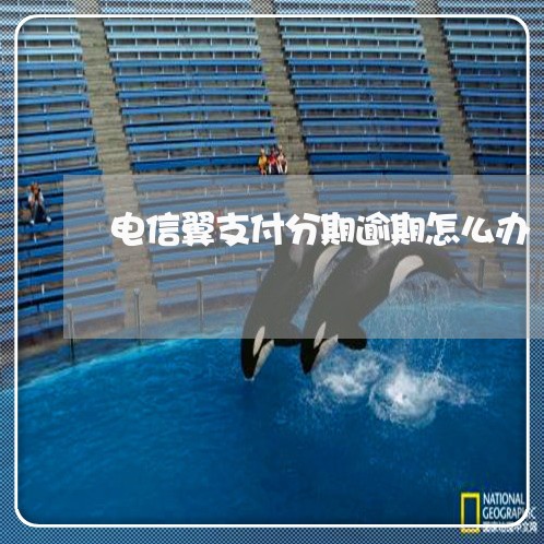 电信翼支付分期逾期怎么办 电信翼支付分期逾期怎么办