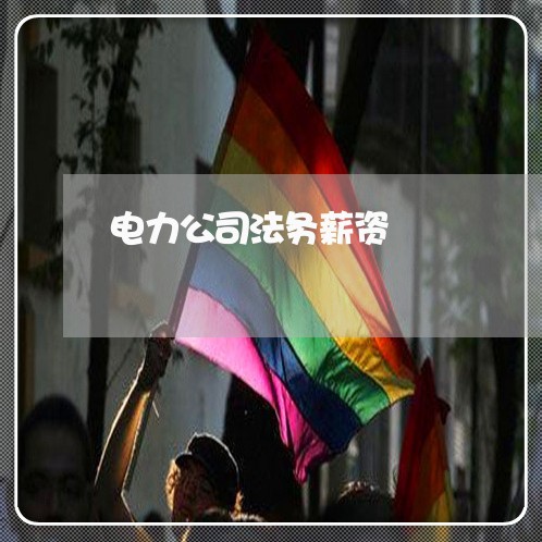 电力公司法务薪资 电力公司法务薪资
