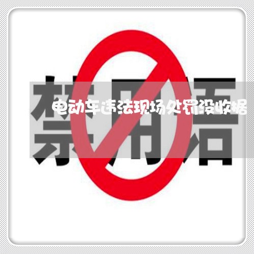 电动车违法现场处罚没收据 电动车违法现场处罚没收据