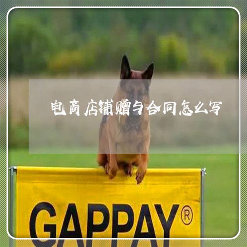 电商店铺赠与合同怎么写/2023041054615 电商店铺赠与合同怎么写/2023041054615