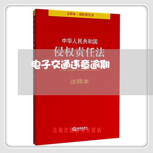 电子交通违章逾期