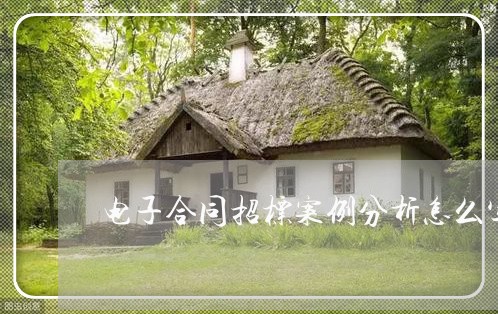电子合同招标案例分析怎么写/2023040217159