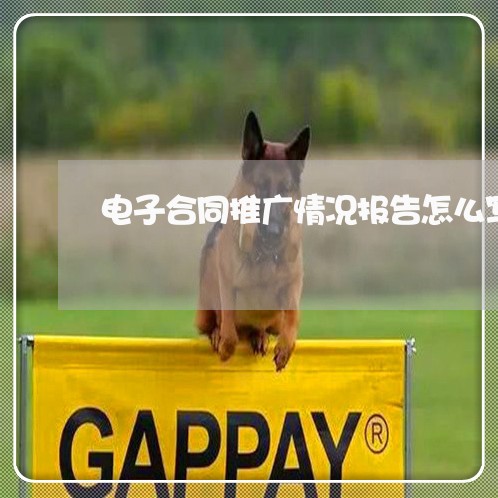 电子合同推广情况报告怎么写/2023041142401