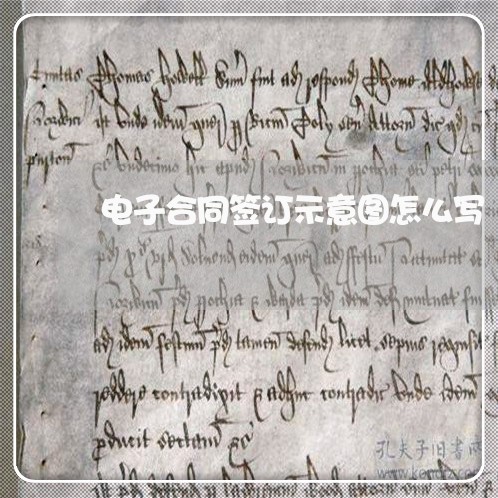 电子合同签订示意图怎么写/2023041339452