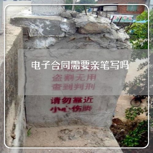 电子合同需要亲笔写吗/2023011761503 电子合同需要亲笔写吗/2023011761503
