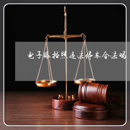 电子眼拍照违法停车合法吗