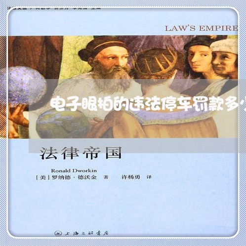 电子眼拍的违法停车罚款多少