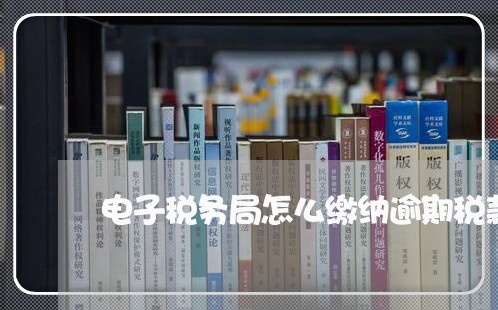 电子税务局怎么缴纳逾期税款