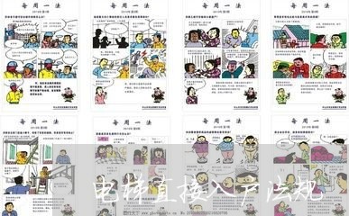 电梯直接入户法规