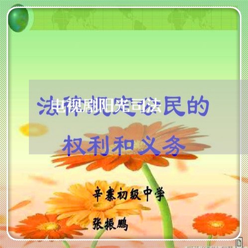 电视剧阳光司法 电视剧阳光司法
