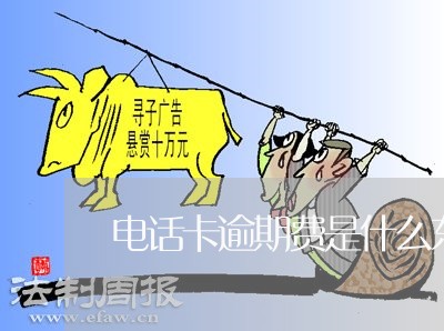 电话卡逾期费是什么东西 电话卡逾期费是什么东西