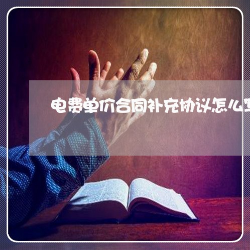 电费单价合同补充协议怎么写/2023042259360