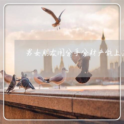 男女朋友闹分手分财产能上法院吗
