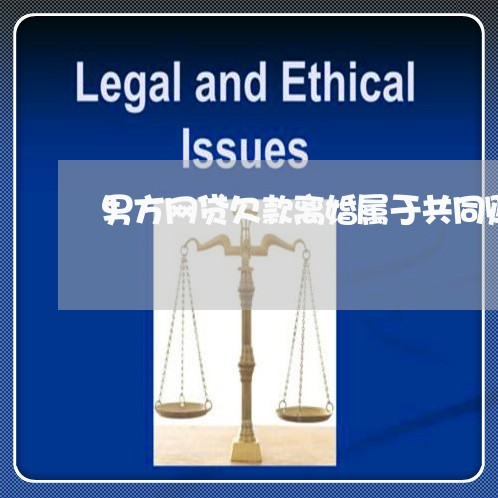 男方网贷欠款离婚属于共同财产