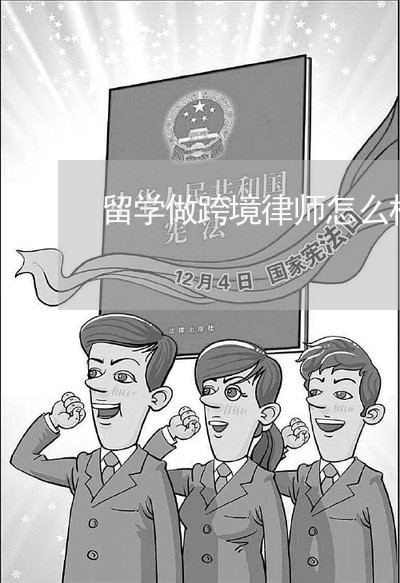 留学做跨境律师怎么样啊/2023042510382