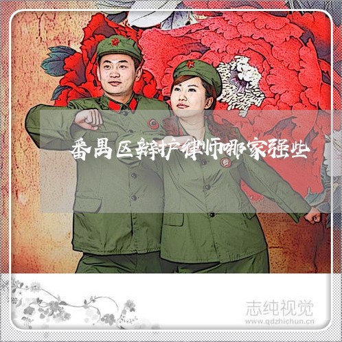 番禺区辩护律师哪家强些
