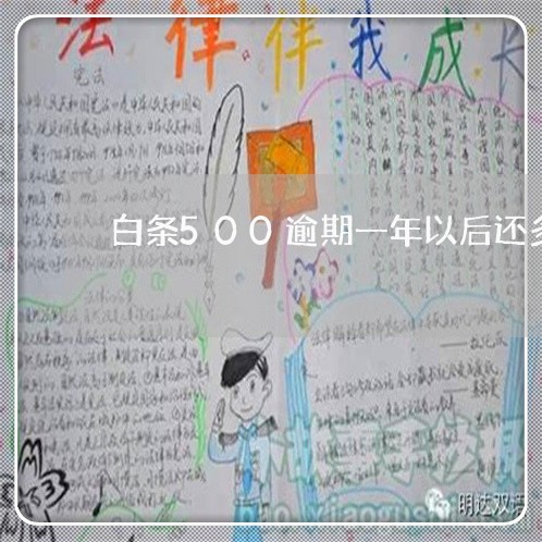 白条500逾期一年以后还多少 白条500逾期一年以后还多少