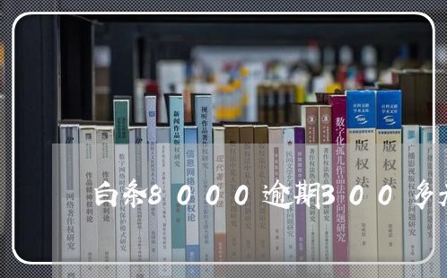 白条8000逾期300多天