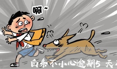 白条不小心逾期5天有事吗 白条不小心逾期5天有事吗