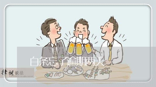 白条忘了逾期两天 白条忘了逾期两天
