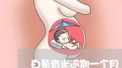 白条有米逾期一个月