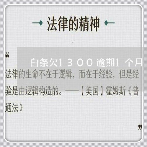 白条欠1300逾期1个月