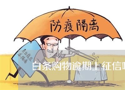白条购物逾期上征信吗 白条购物逾期上征信吗
