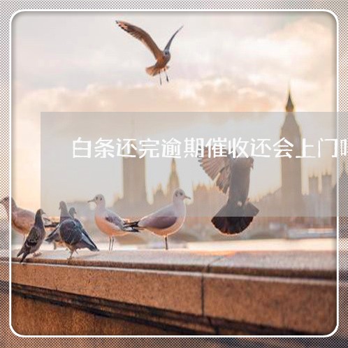 白条还完逾期催收还会上门吗 白条还完逾期催收还会上门吗