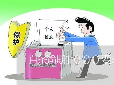 白条逾期1000要求全额