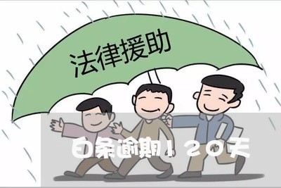 白条逾期120天