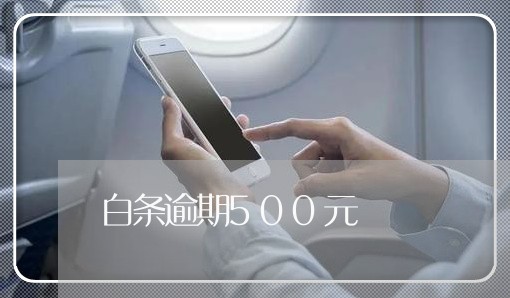白条逾期500元